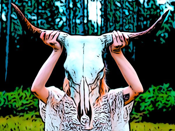 Cow Skull by W Scott
